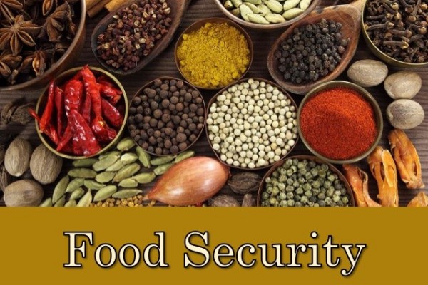 معيار اعتماد الأمن الغذائي 22000- التدريب على التوثيق والتنفيذ