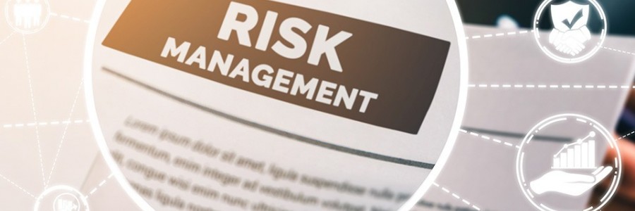 ISO 310001 Risk Management System