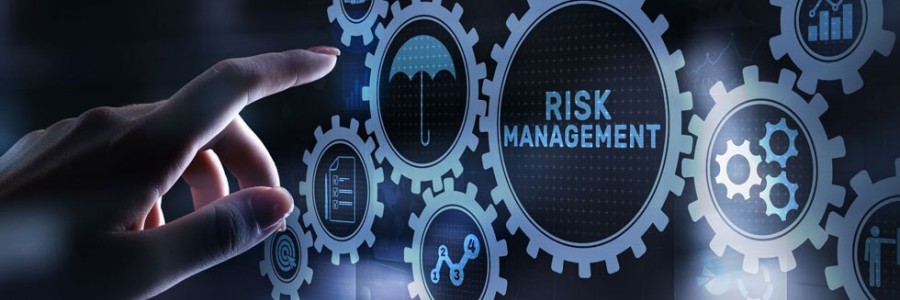 ISO 31000 Risk Management System